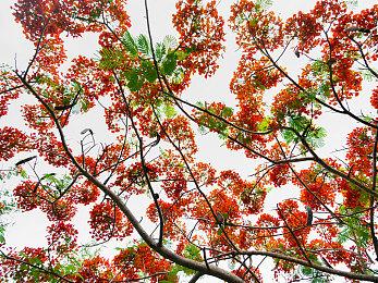 小岛秀夫《OD》将有大量知名人士参与 游戏界“复仇者联盟”